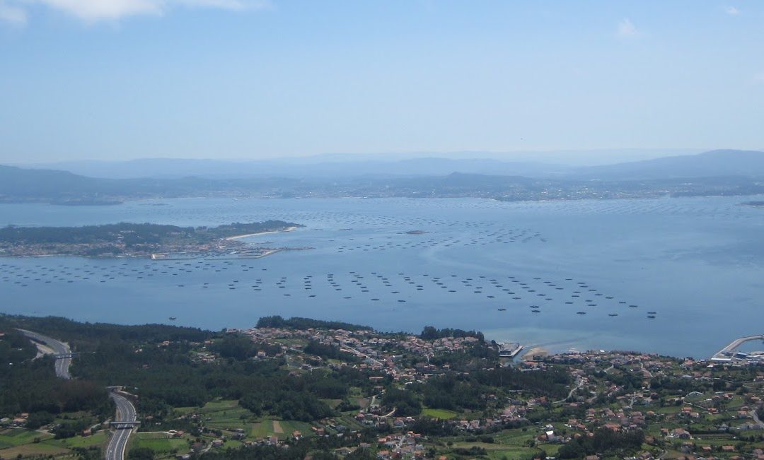 Fiestas del 50 aniversario del CINA en Galicia