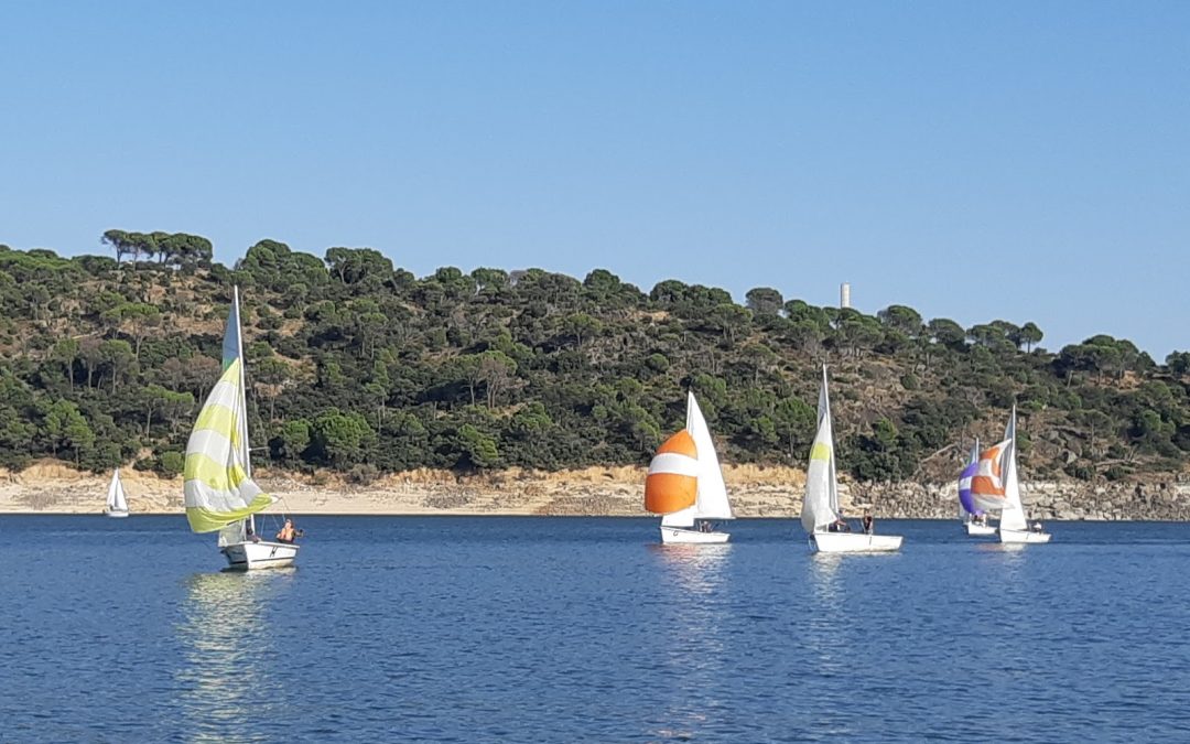 XXVIII Trofeo Grana y Oro